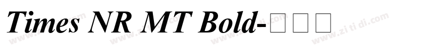 Times NR MT Bold字体转换
